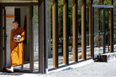 Having received alms in the kitchen Venerable Thitavijjo heads up to the dana sala to chant the anumodana.