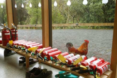 With the ever present threat of pestilence and fire a conference was recently held. Our ever vigilant rooster presided over one of the better attended meetings.