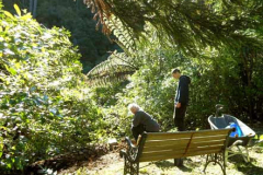 Heidi and Cameron tending the new garden area just below the upper house. A branch of Johns tree sweeps across the foreground.