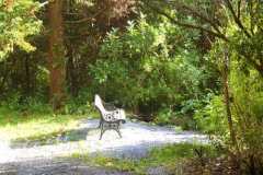 The morning sun bathes a quiet resting place.
