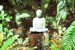 The verdant greens of summer surround the Buddha.