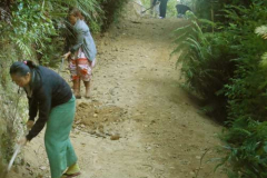 Dawn Angie Aroha and John digging a drainage channel alongside the new road work. The rain will be here soon enough!