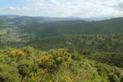A view from the road at the very top of the monastery property.Thats Stokes Valley in the background left.