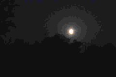 The full moon of Magha rises in the East.