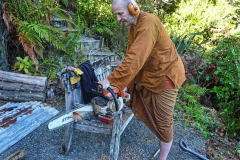 Chainsaw samadhi.