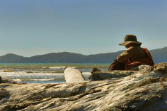 Venerable Kusalacitto between logs and sea and Kapiti Island.