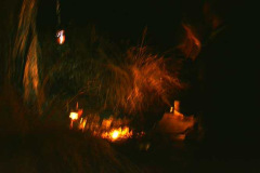 The base of the Wishing Tree glowing with illumination and gifts.