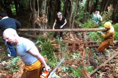 Several pongas were used to build a retaining wall on a particularly steep part of the track.