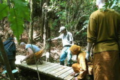 A bridge across the stream at the entry point to the new kuti track.