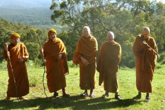 An array of abbots: [L-R] Ajahns Prayad Jundee Kalyano Kusalo Dhammasiha.