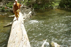 Ajahn Kusalo crossing to the other shore.