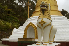 The newly repaired and repainted gaurdian lion in front of the stupa. Many thanks Cara!