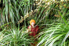Ajahn Rocano exploring his new forest environment in New Zealand.