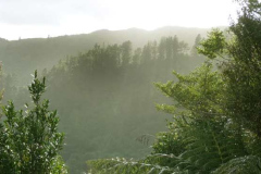 The early morning sun rising over the hills to shine on the hermitage kuti.
