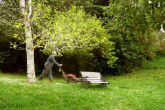 Not only did Dave repair the mower but he gave the lawn its first cut of the season. Spring is here.