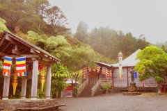 A misty shroud envelopes the festive Vesak decorations in the monastery courtyard.
