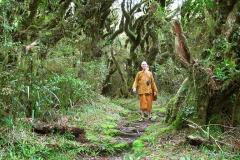 Tudong: walking the slopes of Mt. Taranaki. We camped not far from here.
