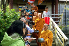 Luang Por Poi leads the sangha on pindapat. The sun shines on us all.