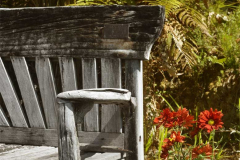 A sitting place.