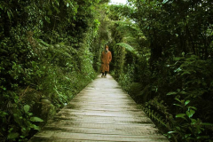 Winter walking meditation.