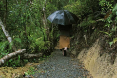 Walking meditation in the rainy season.