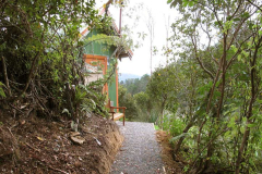 Ajahn Kusalo looking down a meditation path gladly.