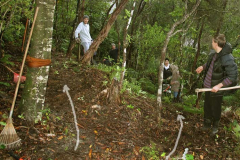 Sebastian Brian Viphavadee Vahn and Marcel setting out access tracks in the memorial garden (white arrows).