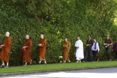Alms round down Stokes Valley Road.