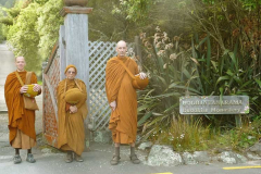 Monks setting out on alms round down Stokes Valley. A nice walk for Ajahn Dhammasiha on his last day at Bodhinyanarama.
