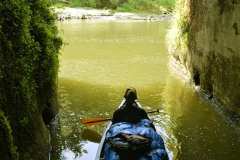 Venerable Aruno quietly contemplates the main flow of the river from a side inlet.