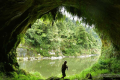Just above Ohauora camp site is cave named after Tamatea-pōkaiwhenua a great early explorer of the Whanganui River - captain of the Tākitimu canoe.