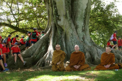 Monks in Auckland. Surrounded by youthful disciples - or a coincidental school group. Or both?