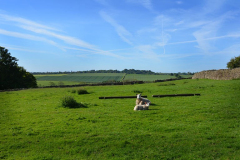 Fields adjacent to Harnham. An English idyll.