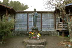 The standing Buddha rupa in the forecourt.