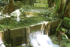 New steps down to the sauna pond. Clean clear and bright.