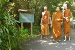 Venerables Kondanyo Kongrit and Phasuko walking through a delightfully dappled day from the Bhikkhu vihara to the dana sala.