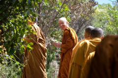 Ajahn Narado in fine form heading up to the stupa.