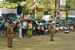 Traffic waits patiently as our train rattles its way to Kandy.