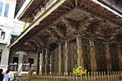 The rear of the tooth temple; a tad calmer and respectful.