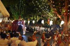 After a hotel nap I joined the crowd in the street to watch the perahera. Elephants lights drums and dancing flooded the senses.