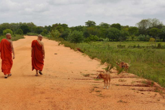A walk in the countryside.