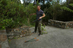 Christian clearing the vegetation around the existing stonework on the west side of the stupa. This view will change dramatically over the next several months.