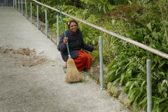 Sister Rohini clearing the moss and debris on the sala ramp.