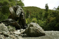 Kaitoke. Root rock and river.