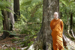 Venerable Thanavaro - a forest monk.
