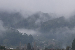 Looking up Stokes Valley to the monastery. The stupa can be seen low-centre with the hills rolling back into a winters mist.
