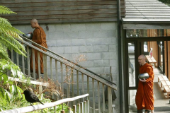 Monks on pindapat.