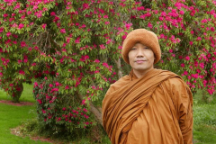 Ajahn Dta in Palmerston North.