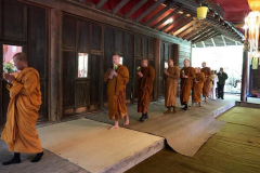 The sangha lead the sala circumambulation.