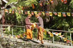Venerables Thanavaro and Phasako sorting Vesak flags.